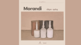 La mostra dedicata a Giorgio Morandi a Palazzo Reale di Milano