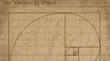 Fibonacci Day: cos'è e perché si celebra il 23 novembre