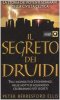 Copertina del libro Il segreto dei druidi 