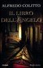 Copertina del libro Il libro dell'angelo 