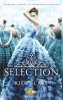 Copertina del libro The selection