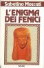 Copertina del libro L'enigma dei Fenici 