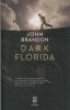 Copertina del libro Dark Florida