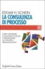 Copertina del libro La consulenza di processo 