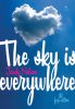 Copertina del libro The sky is everywhere