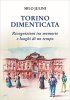 Copertina del libro Torino dimenticata