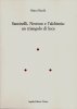 Copertina del libro Santinelli, Newton e l'alchimia: un triangolo di luce