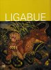 Copertina del libro Ligabue 