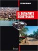 Copertina del libro Il diamante sgretolato 