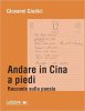 Copertina del libro Andare in Cina a piedi