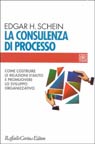 La consulenza di processo